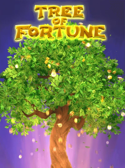 nn77 nn77